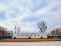 衡水桃城爆料最新消息,揭秘事件真相，真相令人震惊！